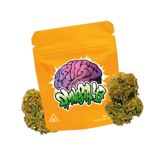 Bolsa de flor Amnesia47 con cogollos, producto disponible con entrega express. La mejor calidad de CBD en Menorca al mejor precio.