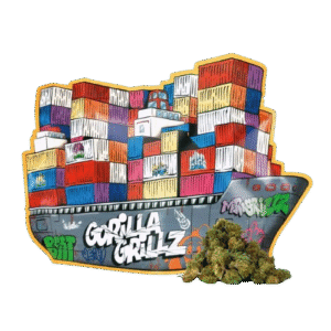 Bolsa de 100 gramos de cogollos pequeños de CBD, opción económica para comprar CBD barato en Menorca.