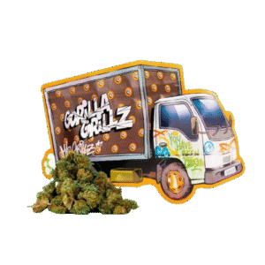 Bolsa de 25 gramos de cogollos pequeños de CBD, ideal para quienes buscan CBD barato en Menorca.